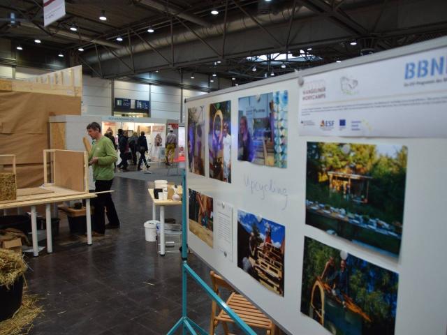 Ausstellung der WW bei der denkmal messe | Foto: Evelyn Boht WWC bei der denkmal