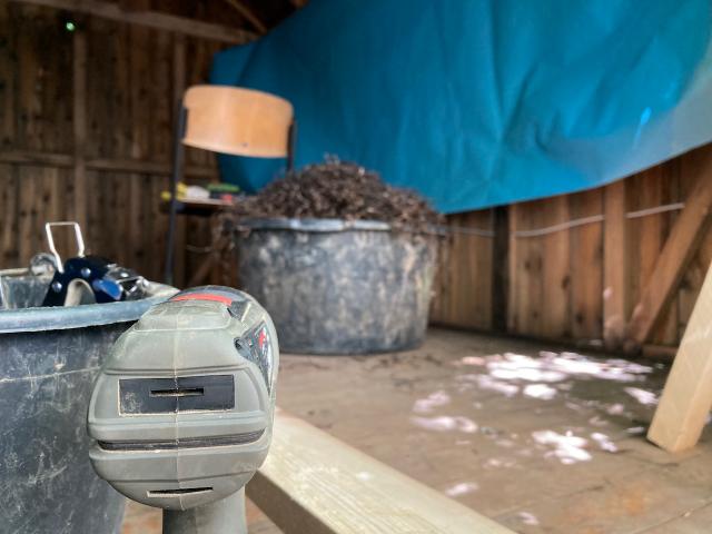 Seegras ist das Dämmaterial der Stunde - Dank Jörn! Seegras ist das Dämmaterial der Stunde - Dank Jörn!