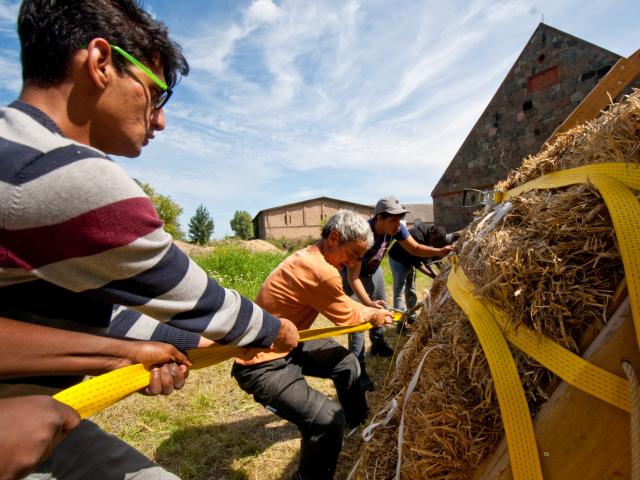 Komprimieren der Strohballen mit Spanngurten. | Foto: Hendrik Silbermann (ARTWORKs) Komprimieren und Festzerren der Ballen mit Spanngurten. | Foto: Hendrik Silbermann (ARTWORKs)
