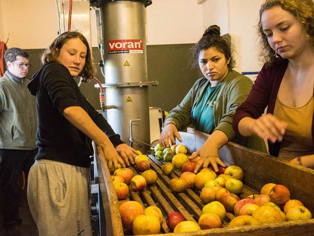 Ein Workcamp voller Geschmack und Gemeinschaft – Werde Teil der Wangeliner Obstmanufaktur Aus Äpfeln wird Saft - Einblick in die Lohnmosterei beim WWC