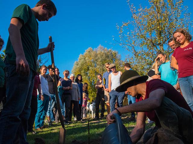 Tauche ein in die Vielfalt der Streuobstwiese mit unserem Workcamp in Wangelin Junge Menschen pflanzen einen Baum beim WWC